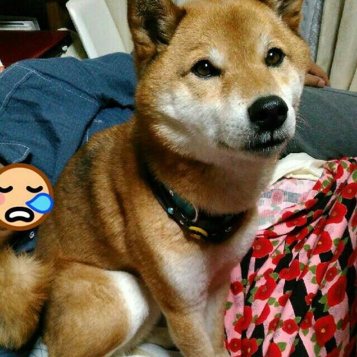 09b3e0da d892 433f ae55 963558d49fc9 1553168749582