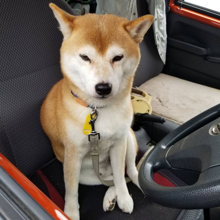 09b41380 be89 45eb 91e7 9013ae98acfb 1567130315044