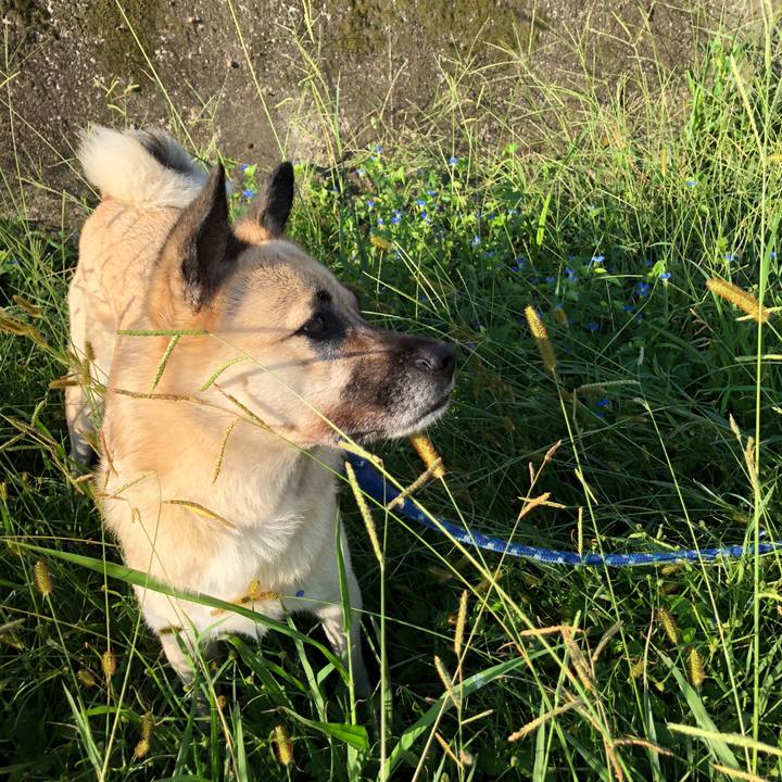 09b455fc 5c3e 4c9d 85a0 2a58b6313646 1570106384591