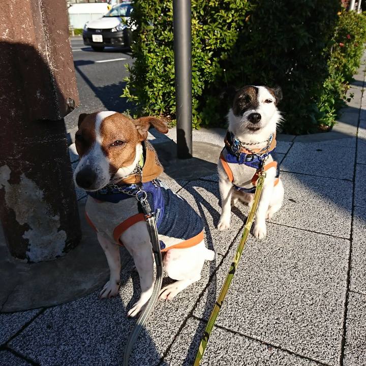 09b46412 c1cb 4ab4 9fb5 7c705efcaf37 1555106985064