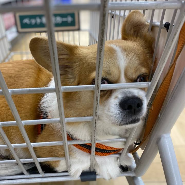 09b47efd 1707 40ec af2d e9c9425d1922 1716522351201