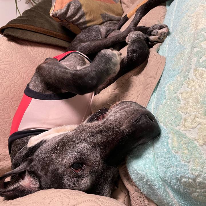 09b48adc 8c69 4a63 bdca 3a6bc796ef86 1635849540548