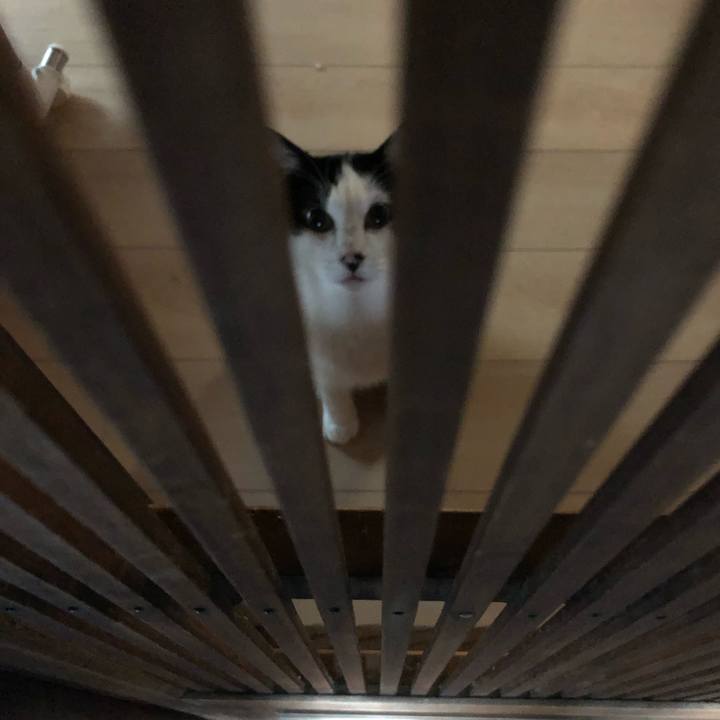 09b49605 37cf 41e2 981e d34b8bf43ae4 1571996398848