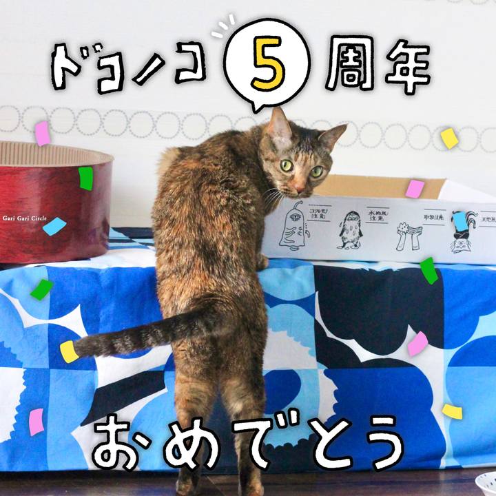 09b4974b c531 4deb 8178 492ec5f02326 1623023489215