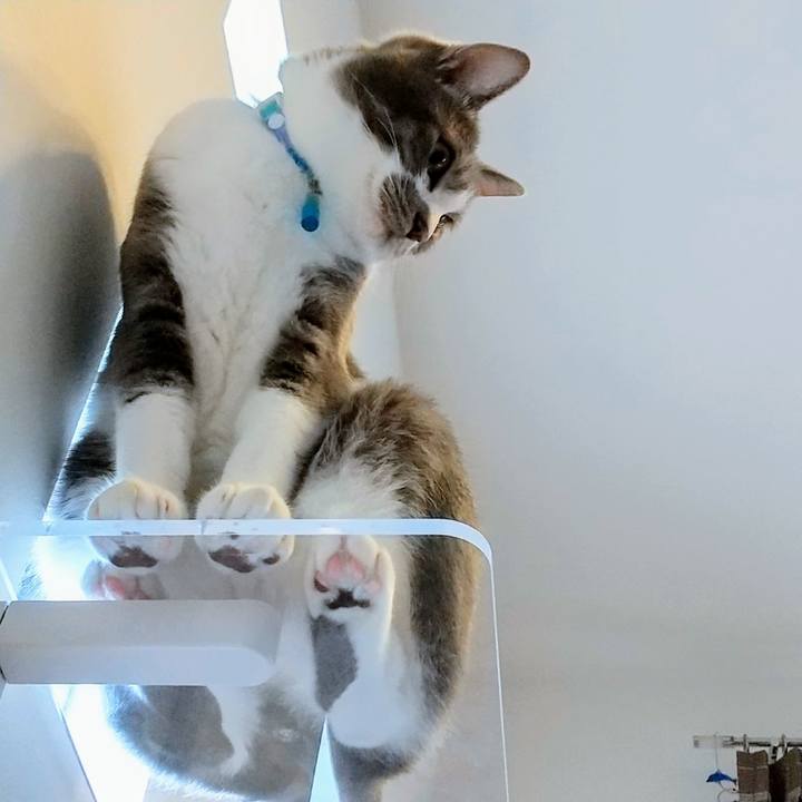 09b4c451 91f7 4feb a0fc d1f5d54ad250 1624689181133