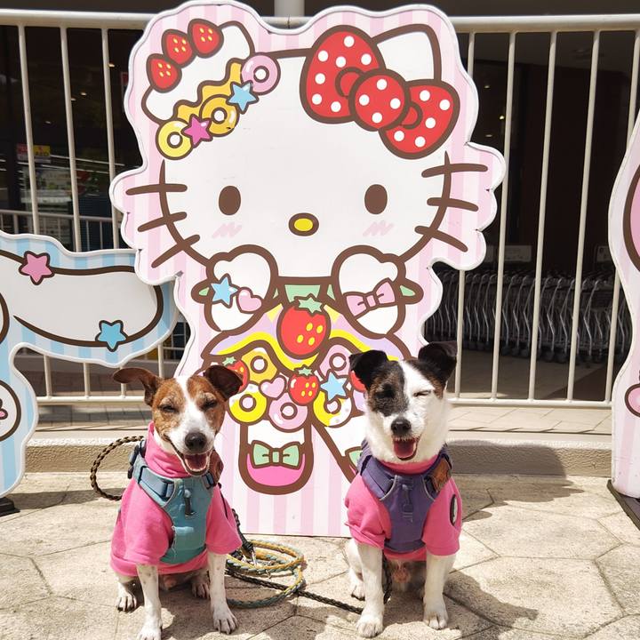 09b4c83a bce2 42da 9744 7e8d66ff8f40 1745055405952