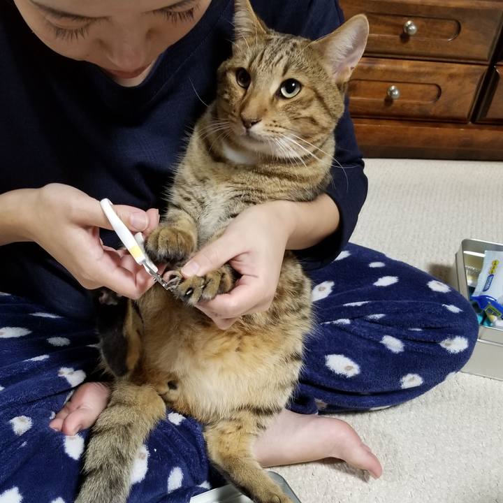 09b4da7b 10dc 4c13 a42a d25afdcfcfd7 1602940823391