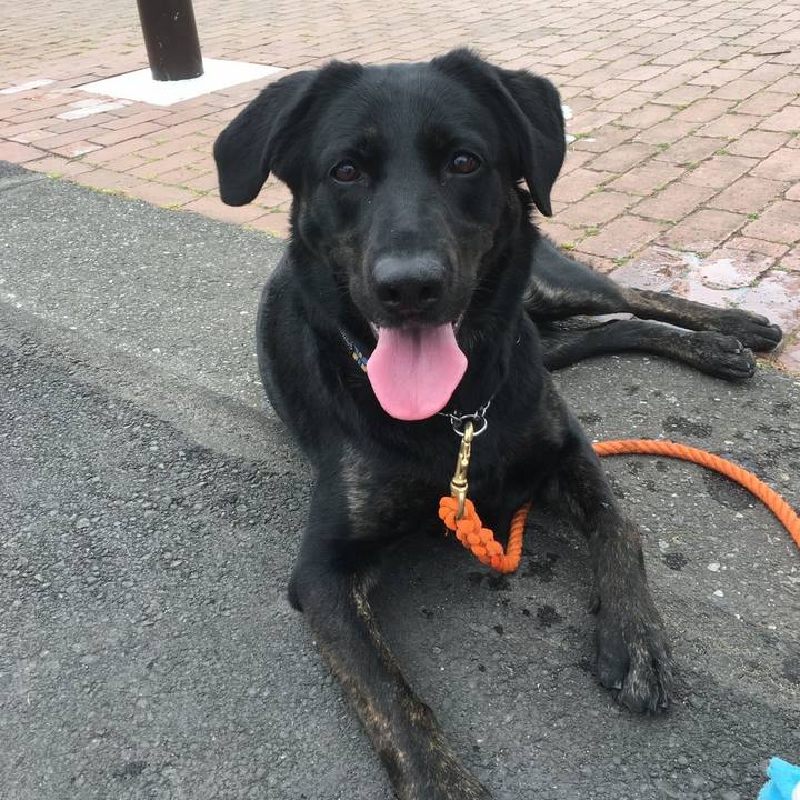 09b53747 c798 4548 961e 2e9fcd89121b 1554606873978