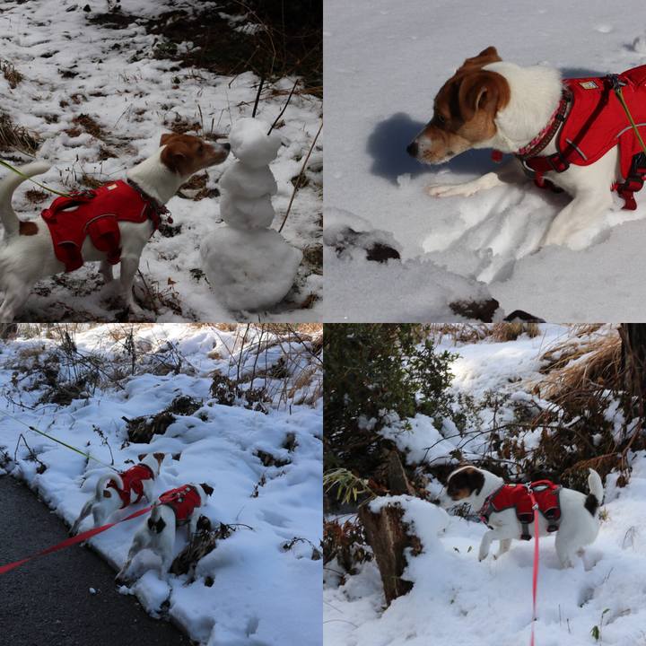 09b54cdb e950 4c4e 9fad 98fbbf9651a4 1517633706486