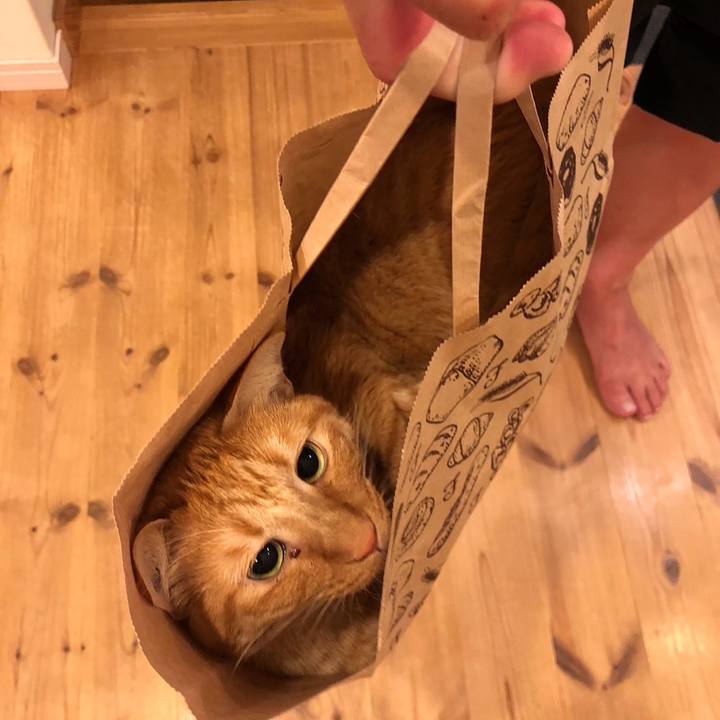 09b558cf 8b57 4ee4 90f3 51d5f8126c1a 1730591235526