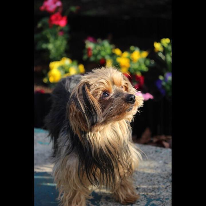 09b590c6 1dd7 477d a25c a05aa469c4bc 1520809028170