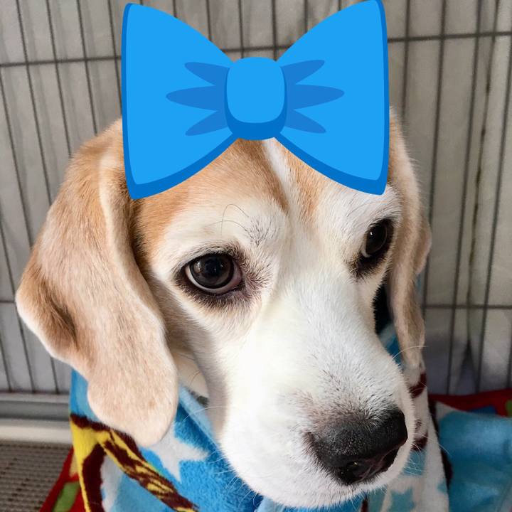 09b595b6 ceb0 4349 878a e36b9ec27df4 1552544453419