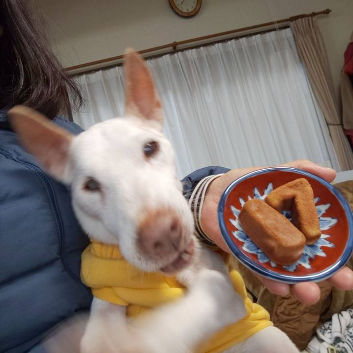 09b59a5d cd39 4547 9024 06dbbfc430c5 1577061810053