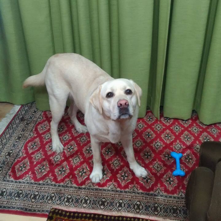 09b59f70 0275 4d0b bad6 1da0f893a231 1518617104021