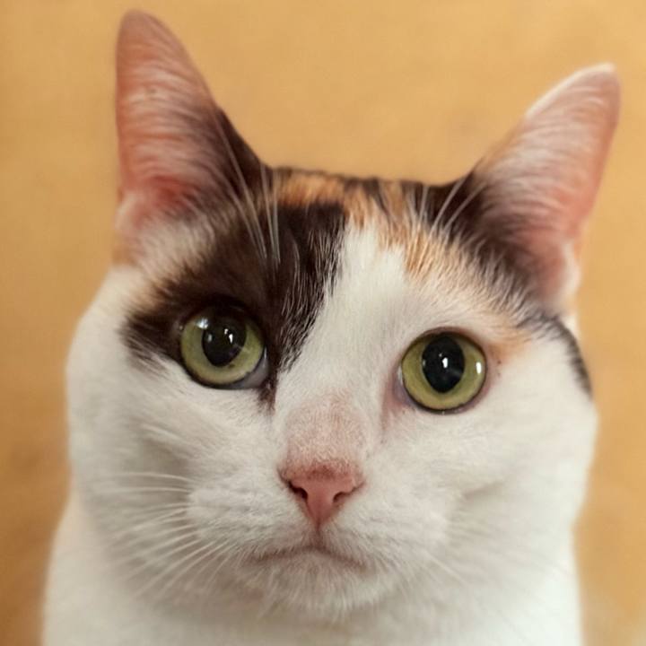 09b5aaed 660d 46fa a5ad a8eab4087273 1730767475511