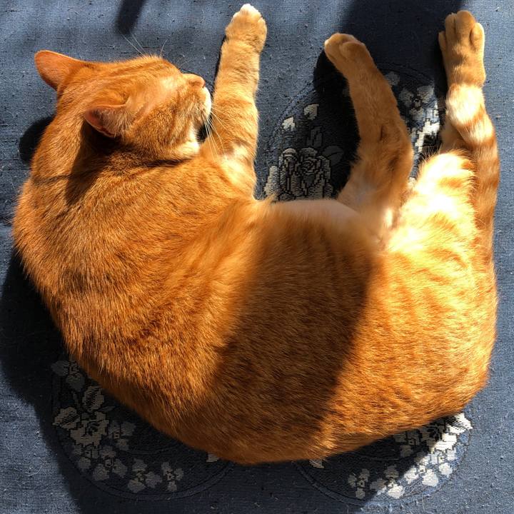 09b5bd6f 1664 423e 8abf 001b6616f9ee 1679182846680