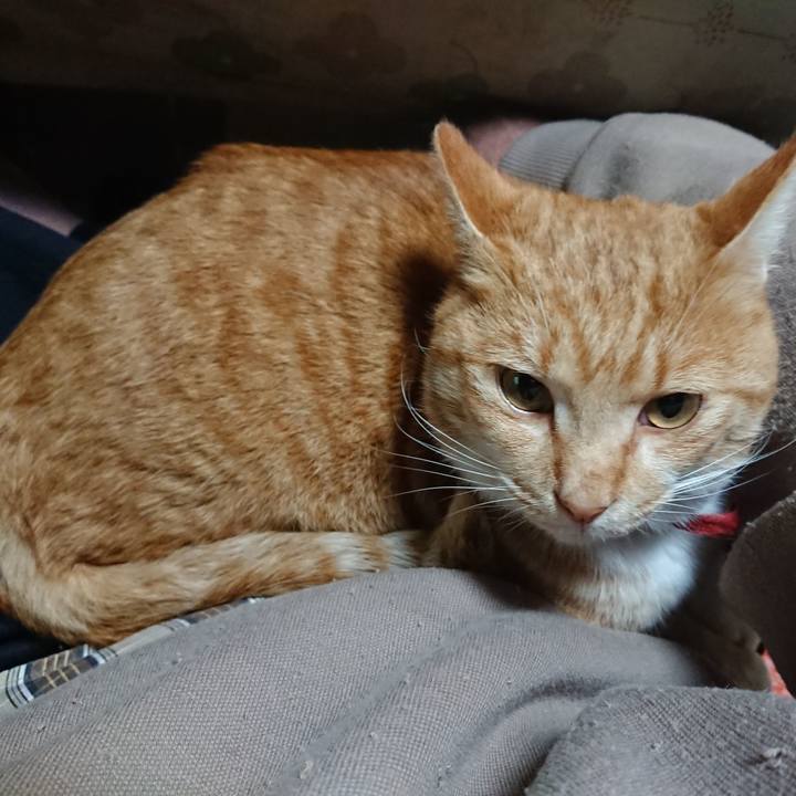 09b5c344 e9b9 42a1 b068 8346d2faa6ba 1574330767112