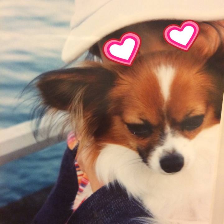 09b5db67 2277 4979 bfbf 0c511617bc35 1512019601253