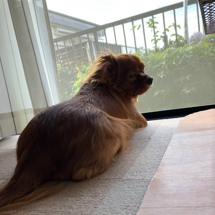 09b5e259 9eaa 4a80 b331 209f46892695 1531347553192