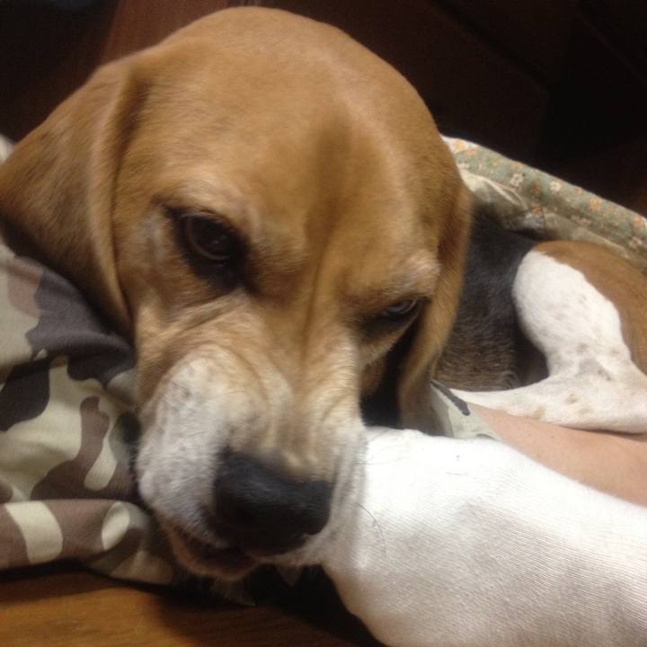 09b619df 8d77 4f48 8e62 bc7eb8e23460 1631935132389