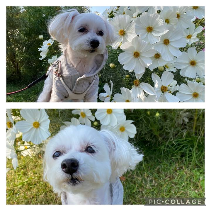 09b65d70 123e 4464 8ab4 a2b99e579065 1699079119915