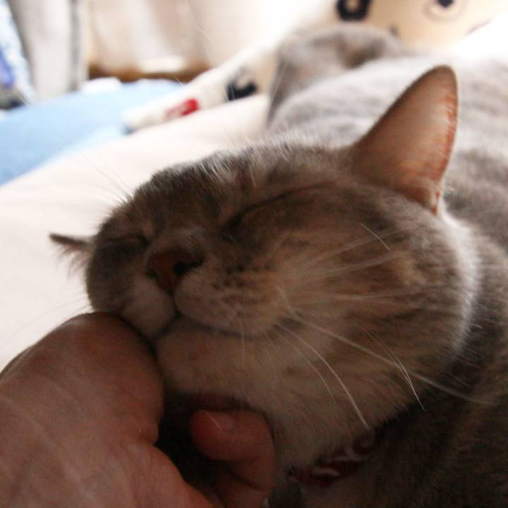 09b66115 42b1 4d33 b8e6 418013085b8d 1537777413991