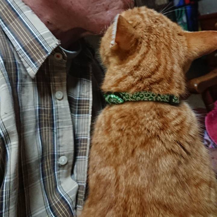 09b66d4f ac51 4419 b381 7a518d4142f8 1581502642064