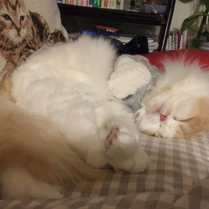 09b67f8a 3e99 4fba 85cd bafada50ea28 1551442828627