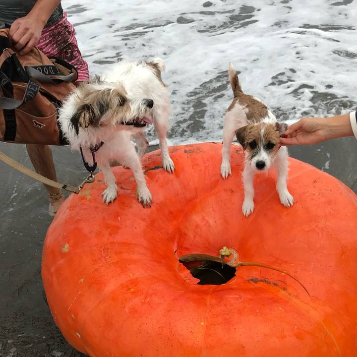 09b68381 2aef 44de 9b18 3304c7e71acd 1758022339490