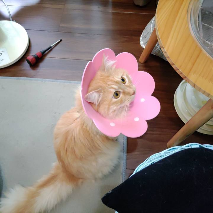 09b687d5 3c08 41c3 b2eb 7260868c98d7 1715760071518