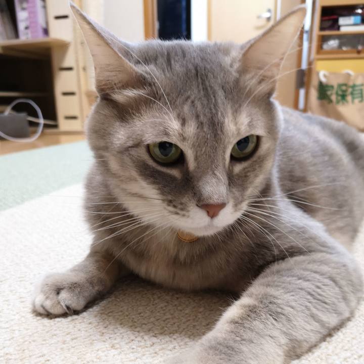 09b6af61 2c66 498a bba9 b8048d3600b2 1581294956356