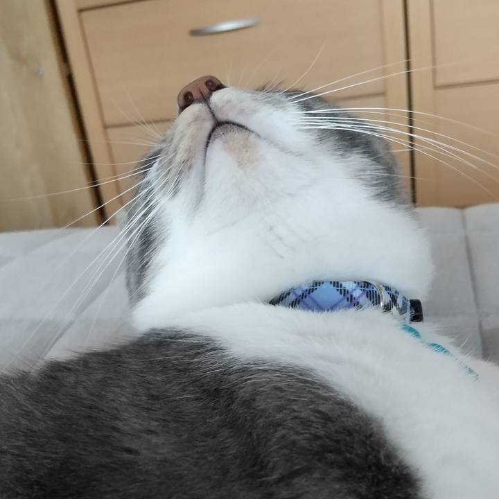 09b6c16a 64a7 4224 b63e 1ce0ecd0efbd 1596681844625