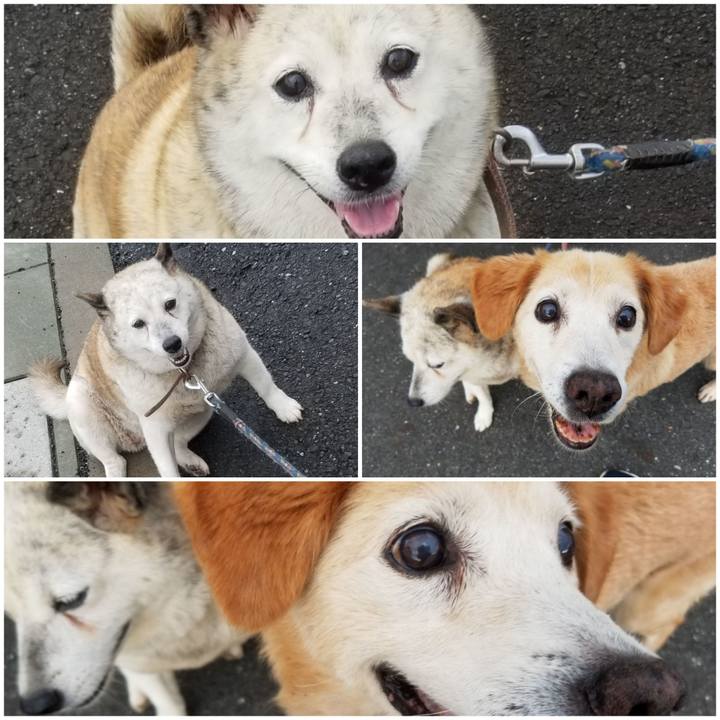 09b6e3a7 71d6 4ae7 adb7 8f7915566a81 1757417122519