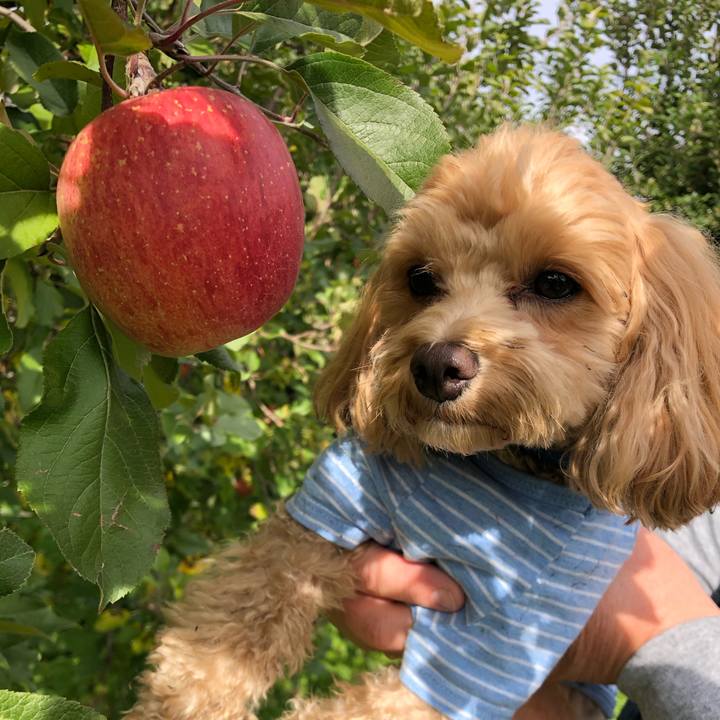 09b6fce1 b8ec 4880 8a9a 3e07126d2686 1604214052067