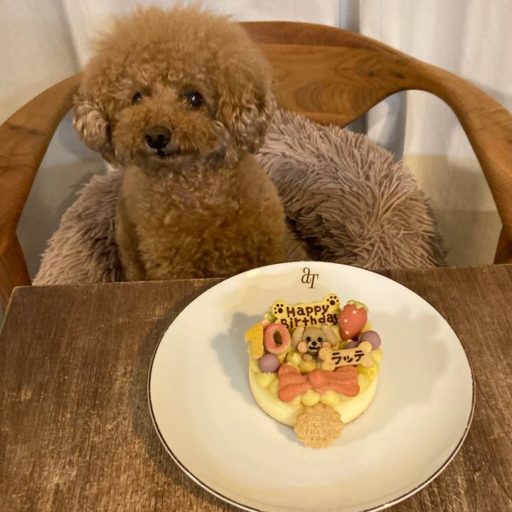 09b71e4f 6020 4c1a a242 380e1bbf6577 1682218914613