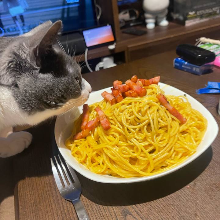 09b7204a b1df 4d66 80b8 3c93b17a0714 1708943083531