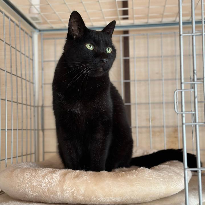 09b73257 94a5 4a9b b31a d69cc3bbb316 1679191323875