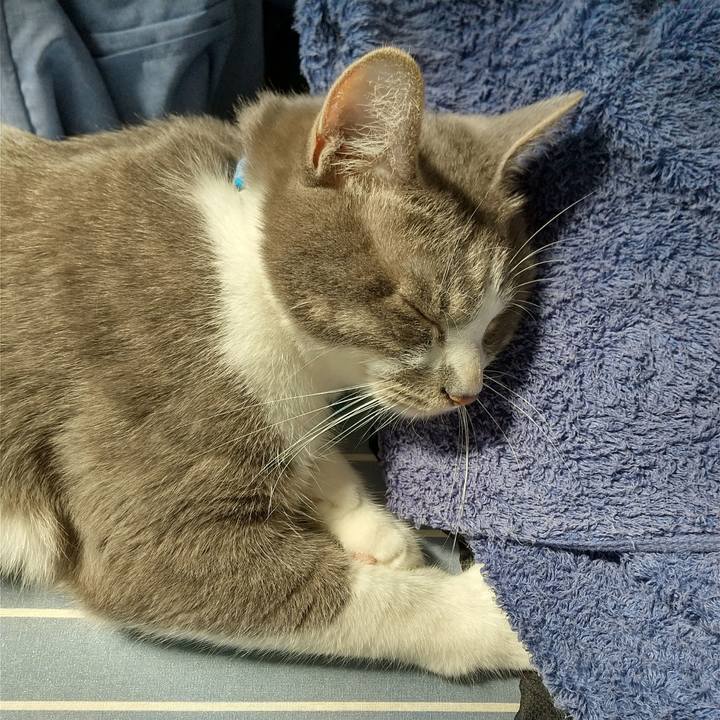 09b736cc 7ea5 4724 ab05 5bfa9c5957f3 1623500102841