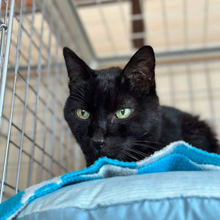 09b73901 722d 4311 b9de 67c2127bbc30 1708309637642