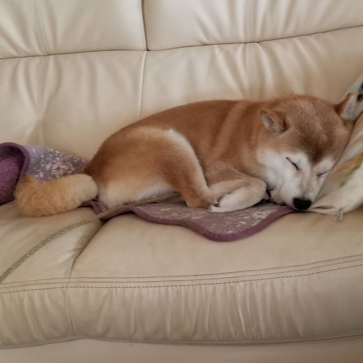 09b73aed ca2b 463f 8c93 ac0a2f4d15de 1628045121076