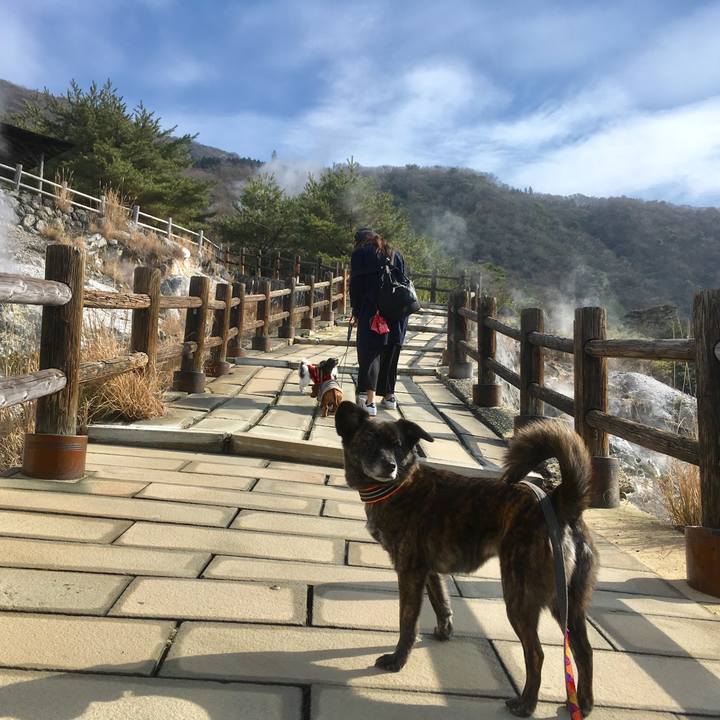 09b74042 5875 4575 a0eb 67d44bad86ba 1517642671170