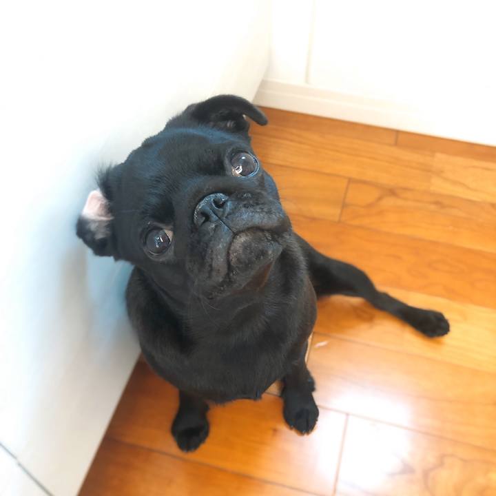 09b77422 bceb 4b3b ac7b a76e51a0b91d 1606004060079