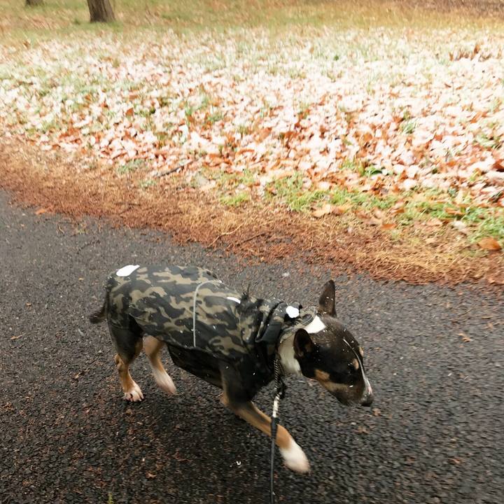 09b79e8f e1ba 4a1b af08 f2f90ebd4795 1516605226869