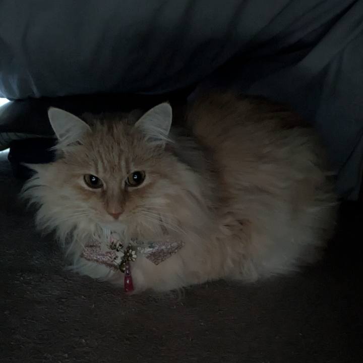 09b7c520 d68e 4285 a822 a24803c778c7 1773453892927