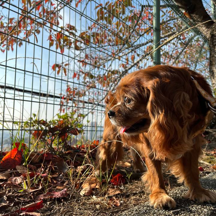 09b7ffef 18d9 46b4 ae8a f9421bece6d1 1699057202014