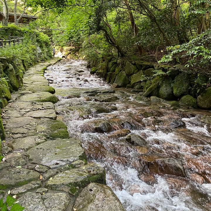 09b80832 80f8 46d2 bb97 100763f3520a 1623050539015