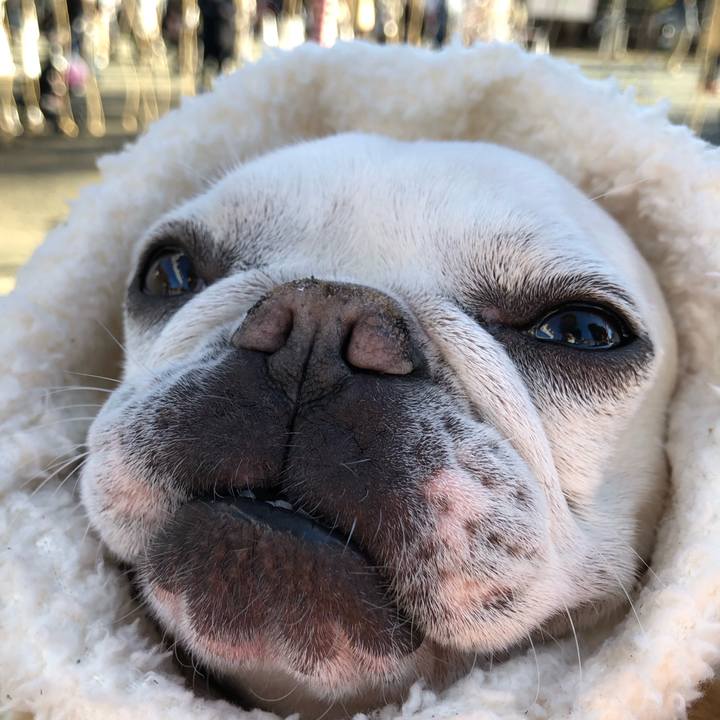 09b85a03 78eb 48c0 a78b 7adecdc0b9cf 1672570012128