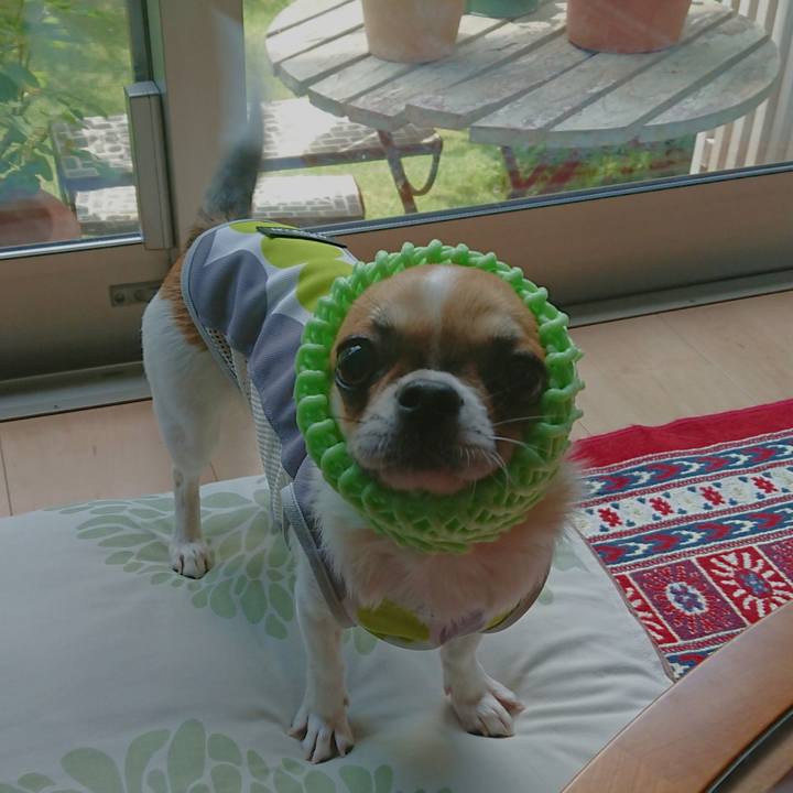 09b893ae cdad 445c af2d e0e67fbfa919 1560847032894