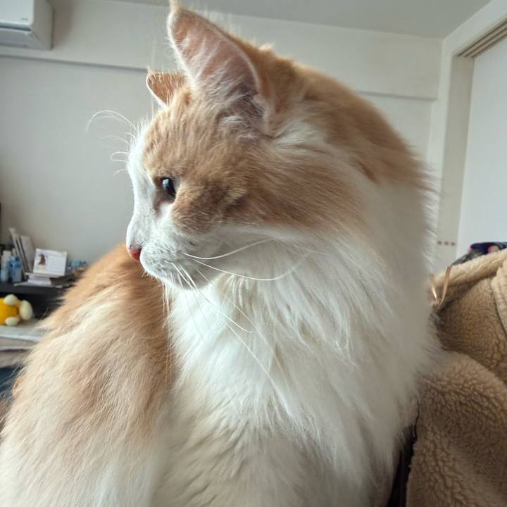 09b8d91d 66eb 42db a84d 4334839a5f32 1769684581628