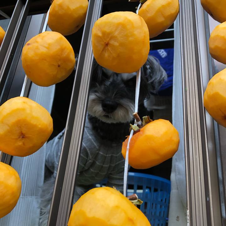 09b8dfd9 3dad 48ed 8038 2fde7948267e 1698541177538